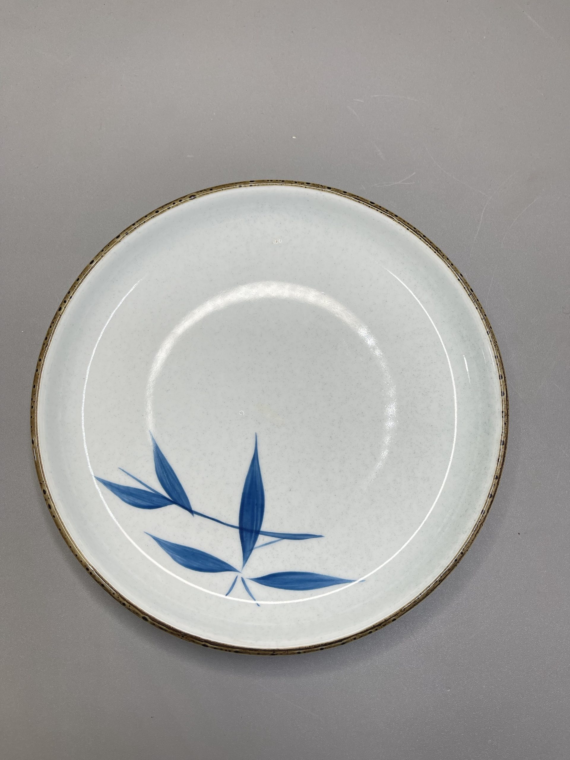 img_3777 Assiette feuille bleu #1 – Image 1