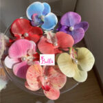 Pince à cheveux - bleu – Image 7