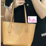 Mini Sac Fourre-Tout coach - beige